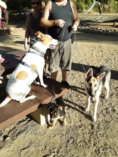 Flora Mae Park - Yarnell, AZ