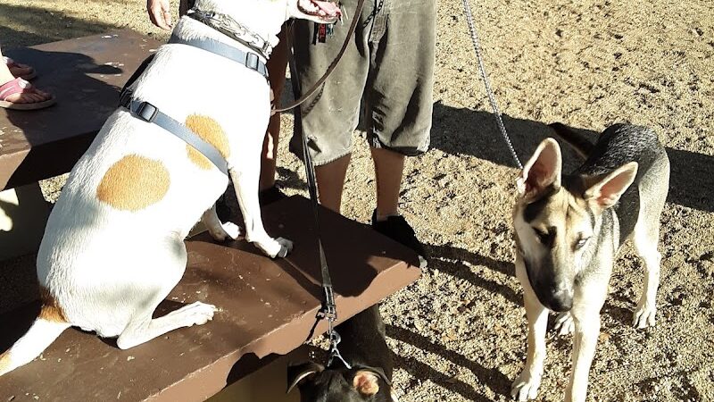 Flora Mae Park - Yarnell, AZ