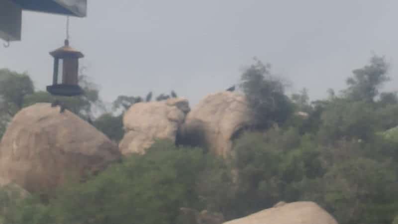 Flora Mae Park - Yarnell, AZ