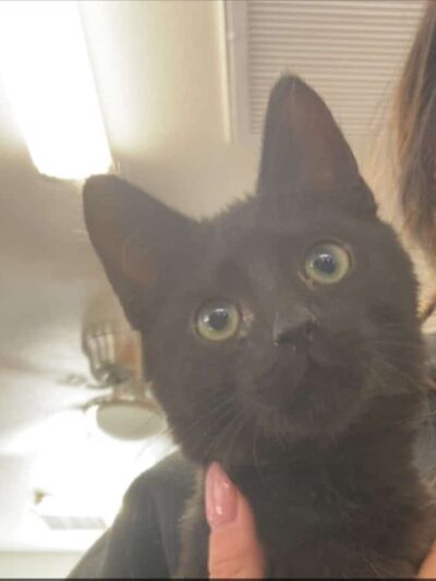 Petey's Playground - Yarnell, AZ