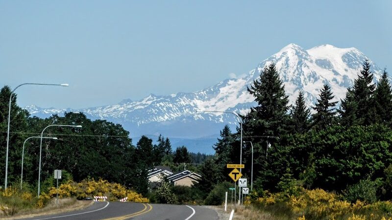 Cherry Meadows - Yelm, WA
