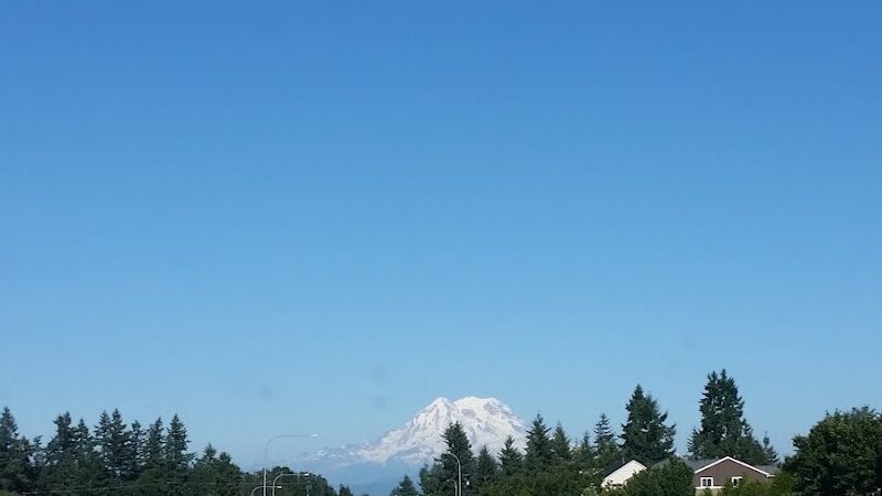 Cherry Meadows - Yelm, WA