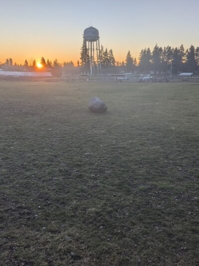 Yelm Dog Park - Yelm, WA