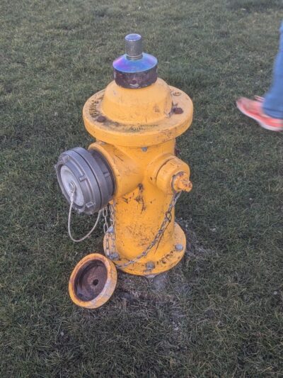 Yelm Dog Park - Yelm, WA