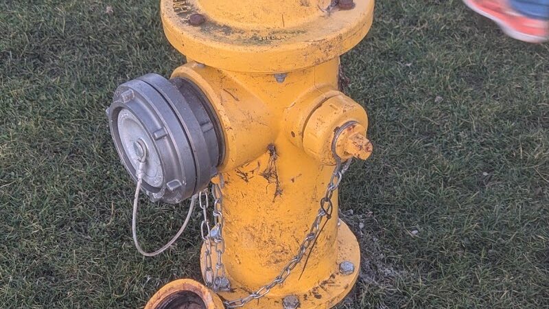 Yelm Dog Park - Yelm, WA