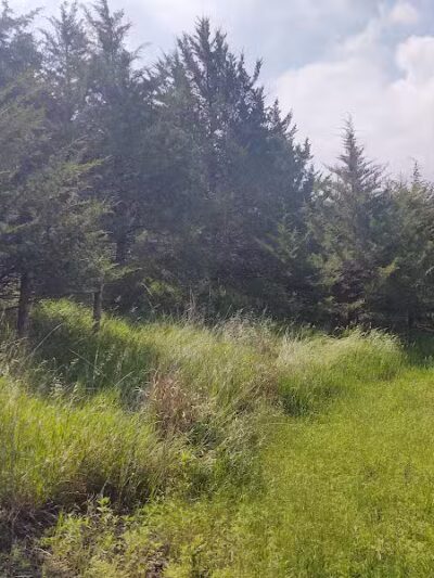 Overland Trail Recreation Area - York, NE