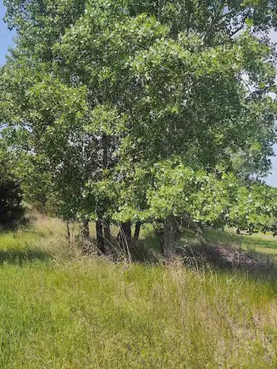 Overland Trail Recreation Area - York, NE