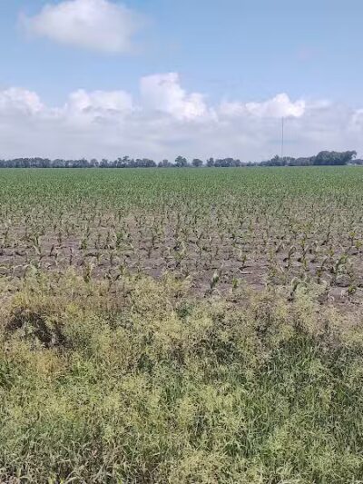 Overland Trail Recreation Area - York, NE