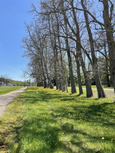 WCCC Trail Access - Youngwood, PA