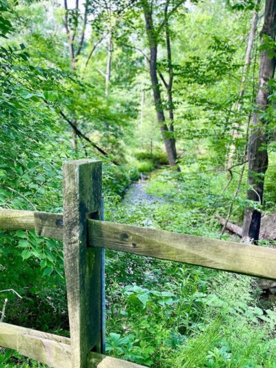 WCCC Trail Access - Youngwood, PA