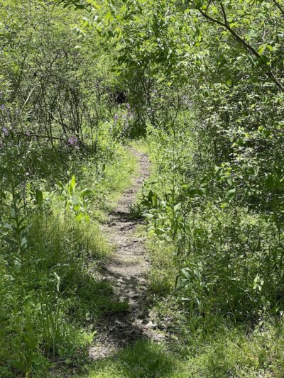 WCCC Trail Access - Youngwood, PA