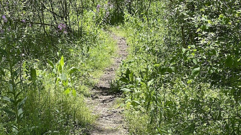 WCCC Trail Access - Youngwood, PA