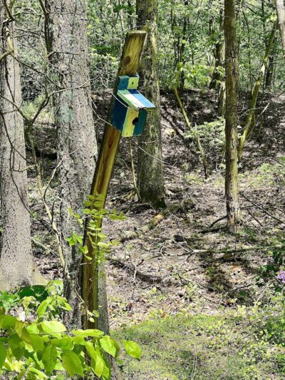 WCCC Trail Access - Youngwood, PA
