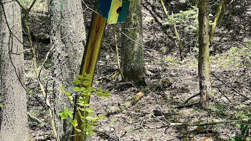 WCCC Trail Access - Youngwood, PA