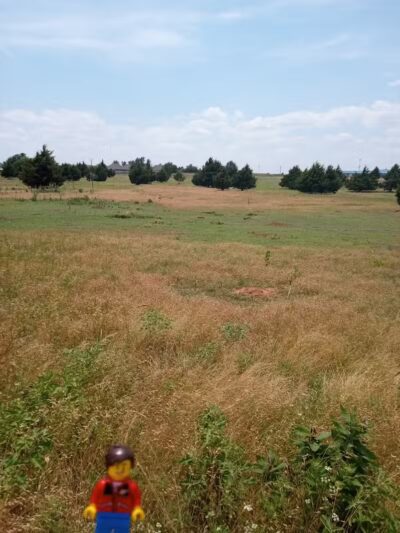 Prairie Dog Field - Yukon, OK