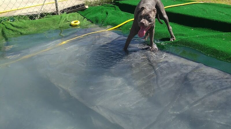 Fortuna Play & Water Dog Park - Yuma, AZ