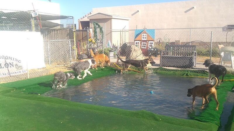 Fortuna Play & Water Dog Park - Yuma, AZ
