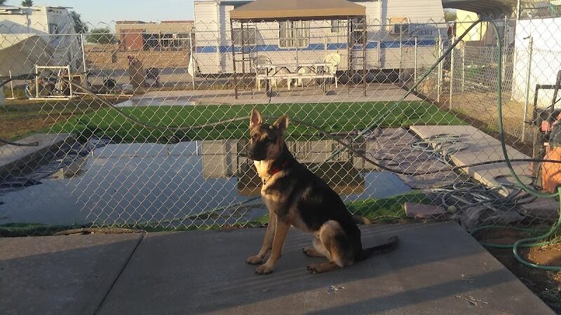 Fortuna Play & Water Dog Park - Yuma, AZ