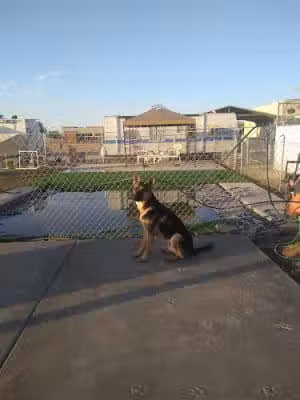 Fortuna Play & Water Dog Park - Yuma, AZ