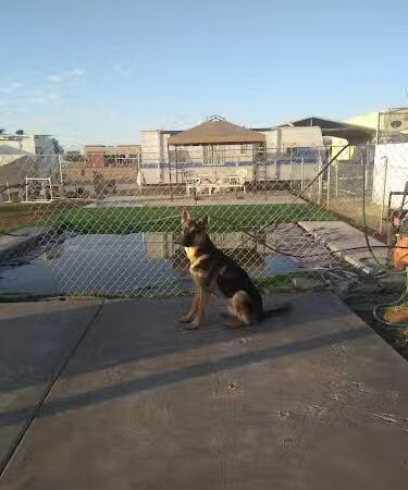 Fortuna Play & Water Dog Park - Yuma, AZ