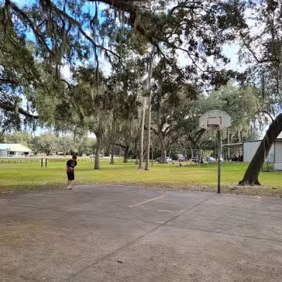 Shepard Park - Zephyrhills, FL