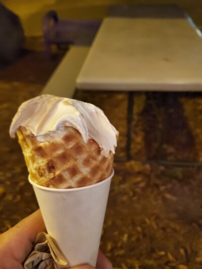 Dave's Treats (Twistee Treat) - Zephyrhills, FL