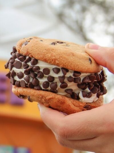 Dave's Treats (Twistee Treat) - Zephyrhills, FL