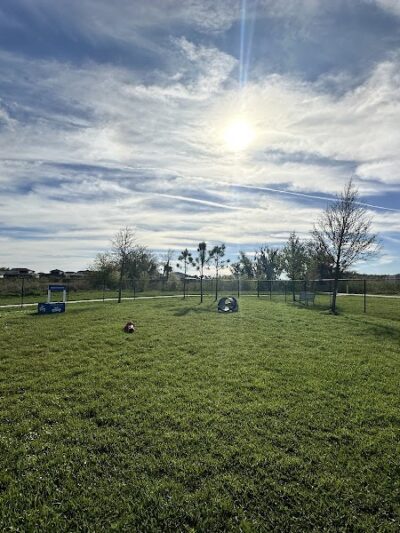 Epperson Playground and Dog Park - Zephyrhills, FL