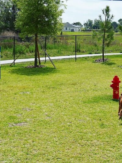 Epperson Playground and Dog Park - Zephyrhills, FL