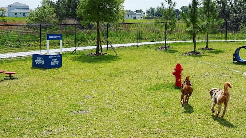 Epperson Playground and Dog Park - Zephyrhills, FL