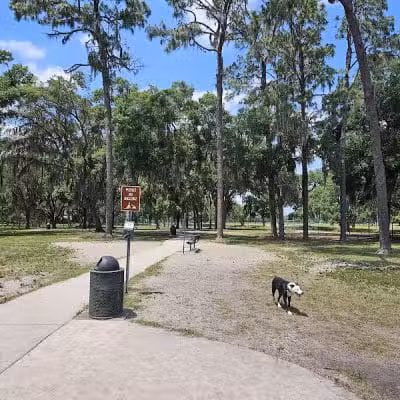 Gunner paw park - Zephyrhills, FL