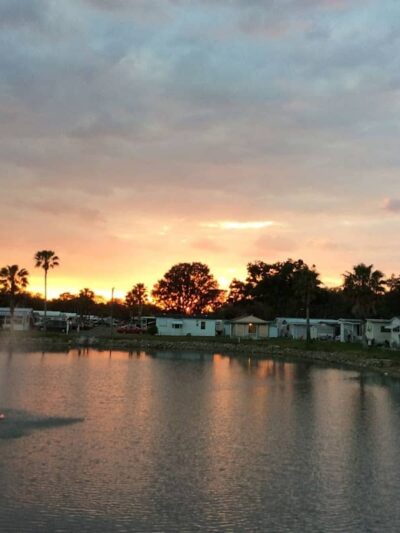 Palm View Gardens RV Resort - Zephyrhills, FL