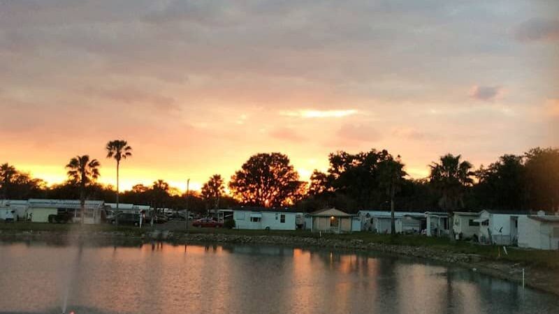 Palm View Gardens RV Resort - Zephyrhills, FL