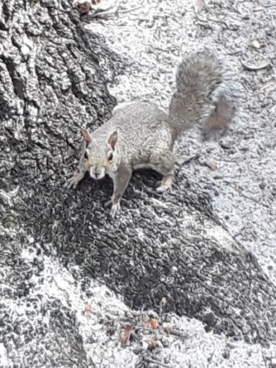 Veterans Memorial Park - Zephyrhills, FL