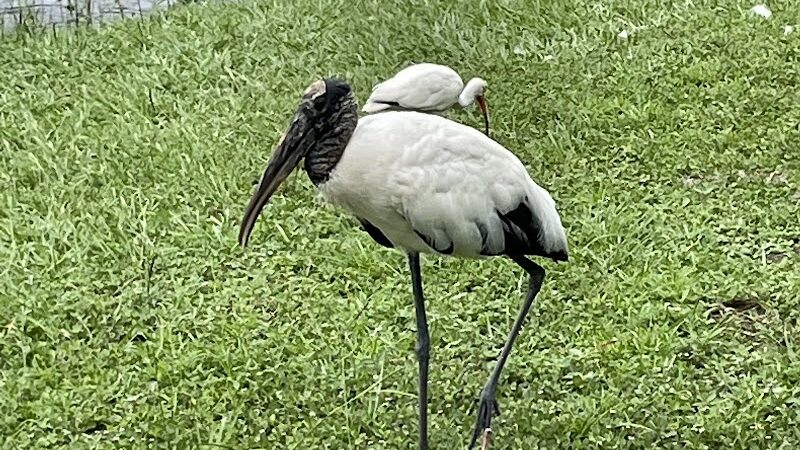 Zephyr Park - Zephyrhills, FL