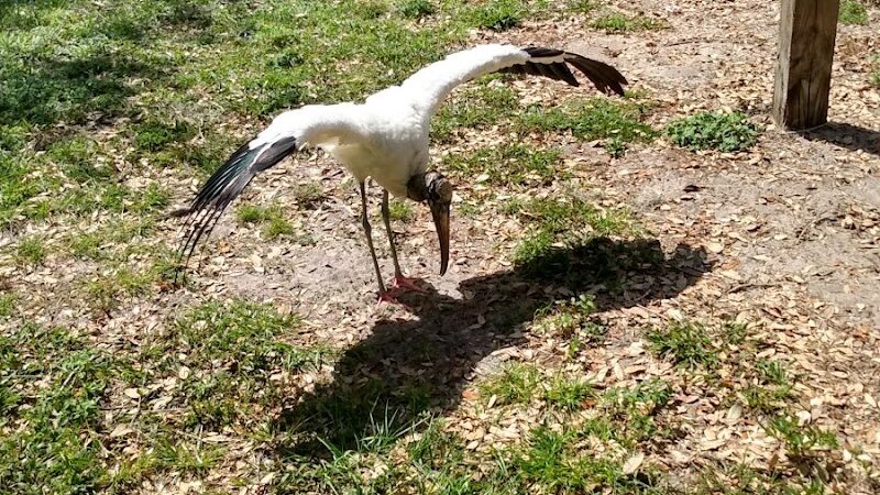 Zephyr Park - Zephyrhills, FL
