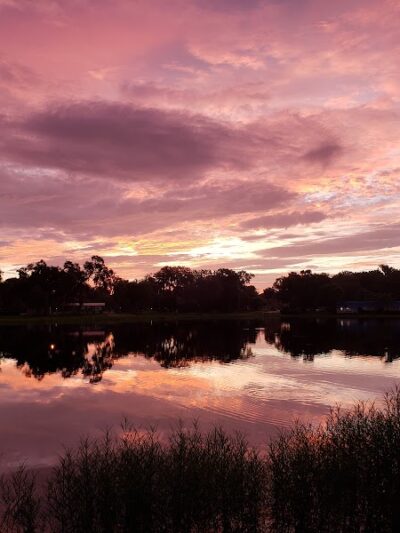 Zephyr Park - Zephyrhills, FL