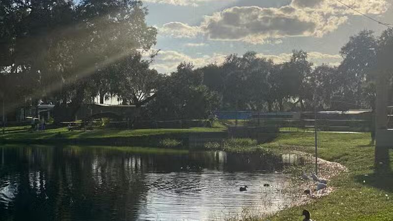 Zephyr Park - Zephyrhills, FL