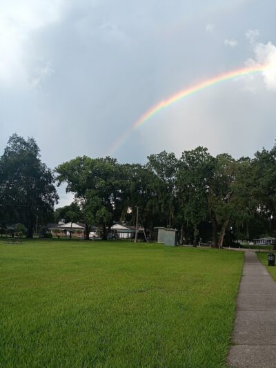 Zephyrhills Park - Zephyrhills, FL