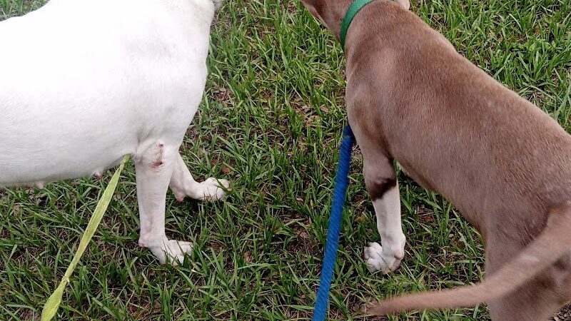 Zephyrhills Park - Zephyrhills, FL