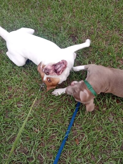 Zephyrhills Park - Zephyrhills, FL