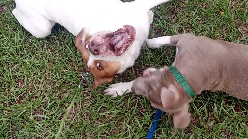 Zephyrhills Park - Zephyrhills, FL