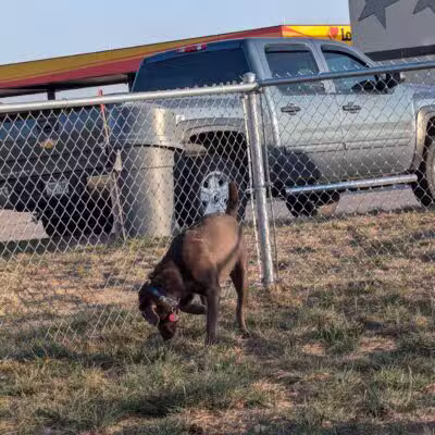 Dog Park at Love’s Travel Stops - Abilene, KS