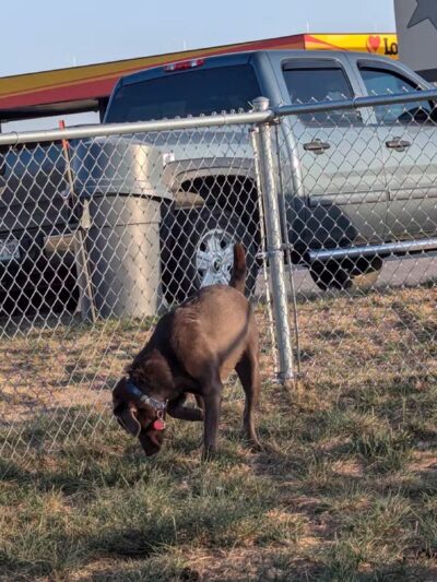 Dog Park at Love’s Travel Stops - Abilene, KS