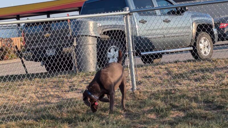 Dog Park at Love’s Travel Stops - Abilene, KS