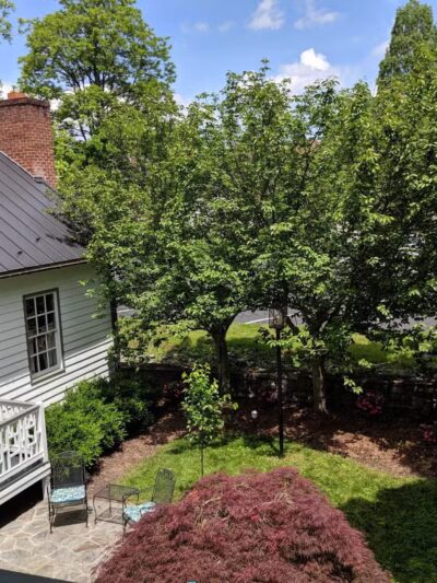 Black Dog Inn - Abingdon, VA