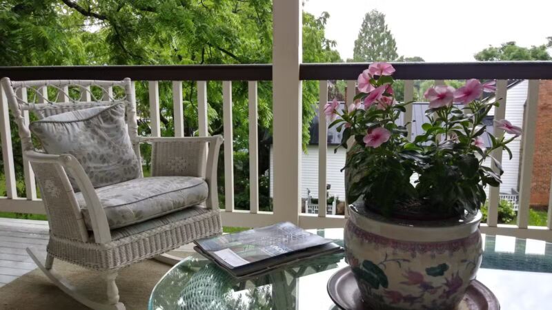 Black Dog Inn - Abingdon, VA