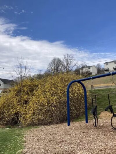 Munchkin Park - Abingdon, VA