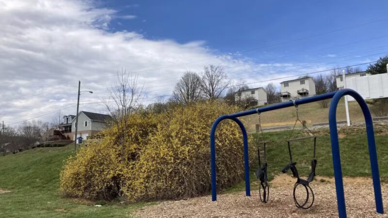 Munchkin Park - Abingdon, VA