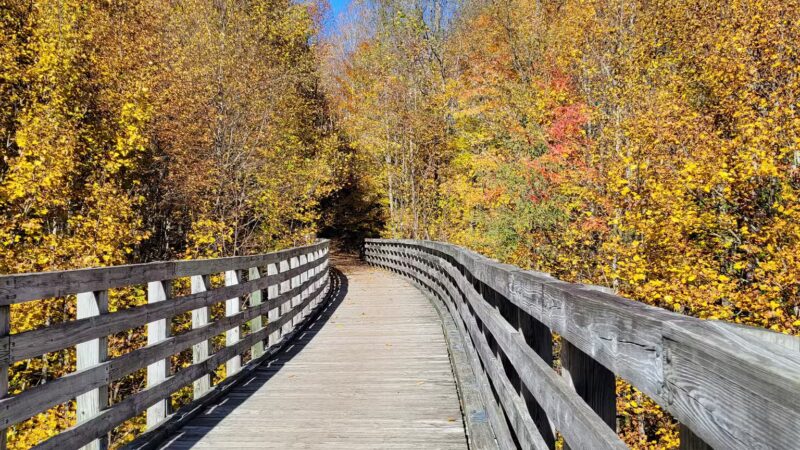 Virginia Creeper Abingdon Terminus - Abingdon, VA